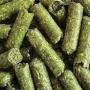 Animal feed origin SPAIN