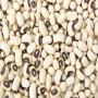  looking for black eyed beans'buyer