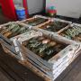 D&eacute;lice des produits tropicaux