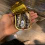 poisson / sardine / conserve