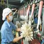 nitrile gloves - mask