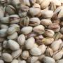 PISTACHES (PISTACIA VERA -L)