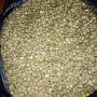 caf&eacute; robusta - c&ocirc;te d'ivoire 1345 euros/T FOB 