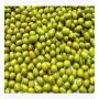 mung bean ou haricot mungo