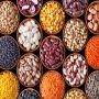 Cherche fournisseur de grains sec de qualit&eacute; 