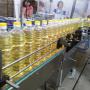 sunflower oil 