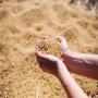 Alimentation Animale 