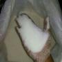 BRAZIL ORIGIN SUGAR 
