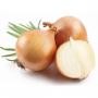 Cherche Producteur Gros Oignons
