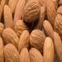 Amandes ButtePadre 36/40 (MEKERKEB) pour le Maroc