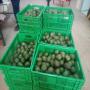 Distributeurs ou revendeurs de fruits et legumes