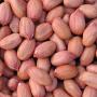 sell peanuts from africa in ukraine