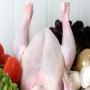 Viande de volaille HALAL