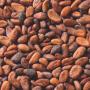 FOURNISSEUR CACAO / COTE D'IVOIRE 
