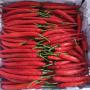 CHILI PEPPERS