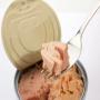 Conserves du thon