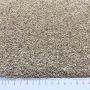 GRAINES DE SESAME