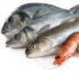 poissons de la m&eacute;diterran&eacute;e
