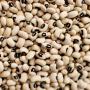 Haricots blanc d'Afrique 