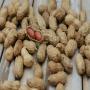 peanuts for sale