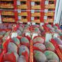 Vente en gros de Fruits et L&eacute;gumes d'Espagne 