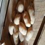 Pommes de terre chair ferme Charlotte 