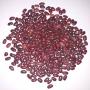 haricots rouges secs