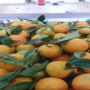 Cl&eacute;mentines et citron d'Italie disponible