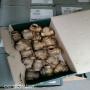 50 TONNES DE LAITON - raccords,valves, etc...