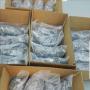 Concombre de mer en vente