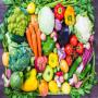 Recherche Partenariat Pour la Cultive des l&eacute;gume 