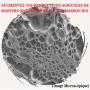 FERTILIZATION BIO DES CULTURES