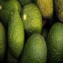 Vente de Fruit Avocat Vari&eacute;t&eacute; hase 