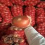 Ognions Rouge d'Alg&eacute;rie 1er choix