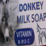 Savons bio artisanals au lait d'&acirc;nesse 