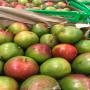 MANGUE KEITT ET KENT BIO