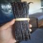 Vanille bourbon noire gourmet 15cm+ 150euros