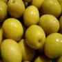 Olives vertes sal&eacute;es