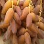  dattes tunisienne deglet nour,