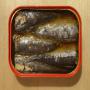 Conserves de sardines