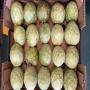 Annona cherimola, chirimoya BIO 
