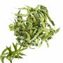 lavande et verveine