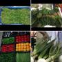 Fruits et l&eacute;gumes en quantit&eacute; 
