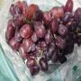 we export all kinds of vegetables and fruits