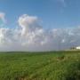 Terrain agricole bien positionn&eacute; a vendre