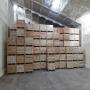 Lot de patate douce a vendre pour industrie : 