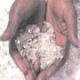 recherche de preneur de diamant ou or 