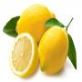 Fresh Lemon from  Morocco