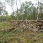 Bois de chauffage