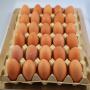 Recherche acheteurs d'oeufs de poule